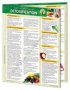Raw Foods Vegetarianism – Detoxification Info Chart