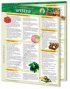 Raw Foods Vegetarianism � Lifestyle Info Chart